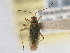  ( - CCDB-21312-A02)  @11 [ ] CreativeCommons - Attribution (2013) CBG Photography Group Centre for Biodiversity Genomics