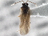  ( - CCDB-21312-D10)  @13 [ ] CreativeCommons - Attribution (2013) CBG Photography Group Centre for Biodiversity Genomics