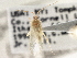  ( - CCDB-21312-E07)  @11 [ ] CreativeCommons - Attribution (2013) CBG Photography Group Centre for Biodiversity Genomics