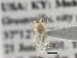  ( - CCDB-21312-F12)  @12 [ ] CreativeCommons - Attribution (2013) CBG Photography Group Centre for Biodiversity Genomics