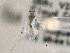 ( - CCDB-21312-G03)  @13 [ ] CreativeCommons - Attribution (2013) CBG Photography Group Centre for Biodiversity Genomics