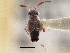  ( - CCDB-21313-A01)  @11 [ ] CreativeCommons - Attribution (2013) CBG Photography Group Centre for Biodiversity Genomics