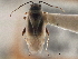  ( - CCDB-21313-A08)  @11 [ ] CreativeCommons - Attribution (2013) CBG Photography Group Centre for Biodiversity Genomics
