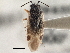  ( - CCDB-21313-A09)  @11 [ ] CreativeCommons - Attribution (2013) CBG Photography Group Centre for Biodiversity Genomics