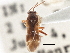  ( - CCDB-21314-B02)  @11 [ ] CreativeCommons - Attribution (2013) CBG Photography Group Centre for Biodiversity Genomics