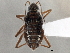  ( - CCDB-21314-E04)  @11 [ ] CreativeCommons - Attribution (2013) CBG Photography Group Centre for Biodiversity Genomics