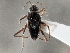  ( - CCDB-21314-E05)  @11 [ ] CreativeCommons - Attribution (2013) CBG Photography Group Centre for Biodiversity Genomics