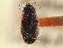  ( - CCDB-21314-G10)  @11 [ ] CreativeCommons - Attribution (2013) CBG Photography Group Centre for Biodiversity Genomics