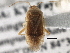  ( - CCDB-21315-G04)  @11 [ ] CreativeCommons - Attribution (2013) CBG Photography Group Centre for Biodiversity Genomics