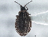  ( - CCDB-21316-F01)  @11 [ ] CreativeCommons - Attribution (2013) CBG Photography Group Centre for Biodiversity Genomics