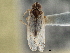  ( - CCDB-21317-C05)  @11 [ ] CreativeCommons - Attribution (2013) CBG Photography Group Centre for Biodiversity Genomics