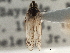  ( - CCDB-21317-C11)  @11 [ ] CreativeCommons - Attribution (2013) CBG Photography Group Centre for Biodiversity Genomics