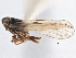  ( - CCDB-21317-D07)  @11 [ ] CreativeCommons - Attribution (2013) CBG Photography Group Centre for Biodiversity Genomics