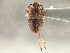  ( - CCDB-21317-G03)  @11 [ ] CreativeCommons - Attribution (2013) CBG Photography Group Centre for Biodiversity Genomics