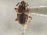  ( - CCDB-21317-G04)  @11 [ ] CreativeCommons - Attribution (2013) CBG Photography Group Centre for Biodiversity Genomics
