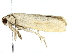  ( - SINPR0554)  @11 [ ] CreativeCommons - Attribution (2022) CBG Photography Group Centre for Biodiversity Genomics