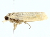  ( - SINPR0555)  @11 [ ] CreativeCommons - Attribution (2022) CBG Photography Group Centre for Biodiversity Genomics
