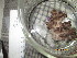  ( - SIRS-002)  @13 [ ] Copyright (2015) Yerushalmy M. Tel Aviv University