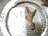  ( - SIRS-005)  @13 [ ] Copyright (2015) Yerushalmy M. Tel Aviv University