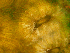  ( - SIRS-181)  @12 [ ] Copyright (2015) Yerushalmy M. IOLR