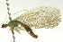  ( - BIOUG02801-A05)  @13 [ ] CreativeCommons - Attribution (2012) CBG Photography Group Centre for Biodiversity Genomics