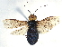  ( - CCDB-37885-H08)  @11 [ ] CreativeCommons - Attribution (2023) CBG Photography Group Centre for Biodiversity Genomics