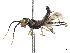  ( - CCDB-37890-G07)  @11 [ ] CreativeCommons - Attribution Share - Alike (2023) CBG Photography Group Centre for Biodiversity Genomics