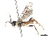  ( - CCDB-37891-B09)  @11 [ ] CreativeCommons - Attribution Share - Alike (2023) CBG Photography Group Centre for Biodiversity Genomics