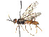  ( - CCDB-37891-B10)  @11 [ ] CreativeCommons - Attribution Share - Alike (2023) CBG Photography Group Centre for Biodiversity Genomics