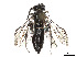  ( - CCDB-37893-C05)  @11 [ ] CreativeCommons - Attribution Share - Alike (2024) CBG Photography Group Centre for Biodiversity Genomics