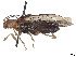  ( - CCDB-37901-B09)  @11 [ ] CreativeCommons - Attribution Share - Alike (2023) CBG Photography Group Centre for Biodiversity Genomics