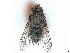  ( - CCDB-37876-H02)  @11 [ ] CreativeCommons - Attribution (2022) CBG Photography Group Centre for Biodiversity Genomics