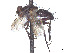  ( - CCDB-37878-H11)  @11 [ ] CreativeCommons - Attribution (2023) CBG Photography Group Centre for Biodiversity Genomics