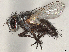  ( - CCDB-37880-A11)  @11 [ ] CreativeCommons - Attribution (2023) CBG Photography Group Centre for Biodiversity Genomics