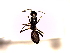  ( - SJU428)  @11 [ ] CreativeCommons - Attribution Share-Alike (2016) Unspecified Sang-ji University