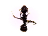  (Dolichoderus thoracicus - SJU612)  @13 [ ] CreativeCommons - Attribution Share-Alike (2016) Unspecified Sang-ji University