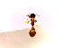  (Temnothorax serviculus - SJU690)  @12 [ ] CreativeCommons - Attribution Share-Alike (2016) Unspecified Sang-ji University