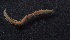  ( - Ann130)  @12 [ ] Unspecified (default): All Rights Reserved  Unspecified Unspecified