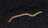 ( - Ann134)  @12 [ ] Unspecified (default): All Rights Reserved  Unspecified Unspecified