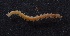  ( - Ann136)  @12 [ ] Unspecified (default): All Rights Reserved  Unspecified Unspecified