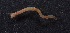  ( - Ann158)  @13 [ ] Unspecified (default): All Rights Reserved  Unspecified Unspecified