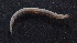  ( - Ann164)  @13 [ ] Unspecified (default): All Rights Reserved  Unspecified Unspecified