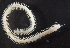  (Neoleanira - Ann168)  @13 [ ] Unspecified (default): All Rights Reserved  Unspecified Unspecified