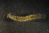  ( - Ann169)  @11 [ ] Unspecified (default): All Rights Reserved  Unspecified Unspecified
