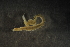  ( - Ann170)  @11 [ ] Unspecified (default): All Rights Reserved  Unspecified Unspecified