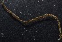  ( - Ann86)  @12 [ ] Unspecified (default): All Rights Reserved  Unspecified Unspecified