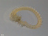 ( - TB359)  @11 [ ] CreativeCommons - Attribution Non-Commercial Share-Alike (2012) NTNU Vitenskapsmuseet NTNU Museum of Natural History and Archaeology