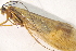  ( - IBSAS-TA5002)  @11 [ ] CreativeCommons  Attribution Non-Commercial Share-Alike (2022) Unspecified Slovak Academy of Sciences, Plant Science and Biodiversity Centre