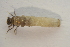  ( - IBSAS-TA5050)  @11 [ ] CreativeCommons  Attribution Non-Commercial Share-Alike (2022) Unspecified Slovak Academy of Sciences, Plant Science and Biodiversity Centre