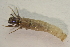  ( - IBSAS-TA5058)  @11 [ ] CreativeCommons  Attribution Non-Commercial Share-Alike (2022) Unspecified Slovak Academy of Sciences, Plant Science and Biodiversity Centre